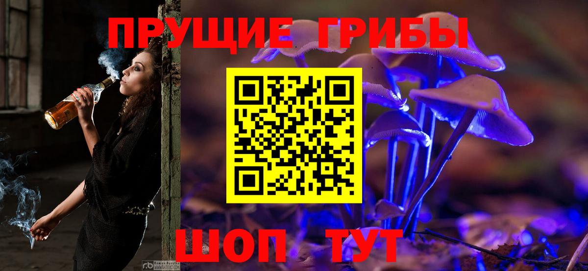 Галлюциногенные грибы прущие грибы  где купить наркоту  Кизилюрт  Псилоцибиновые грибы GOLDEN TEACHER  Вход с VPN 